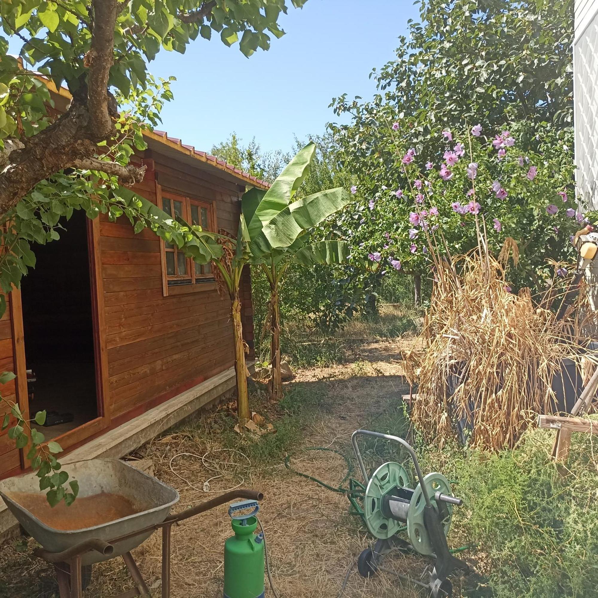 Ripe'S Forest Garden Guest House Rome Buitenkant foto